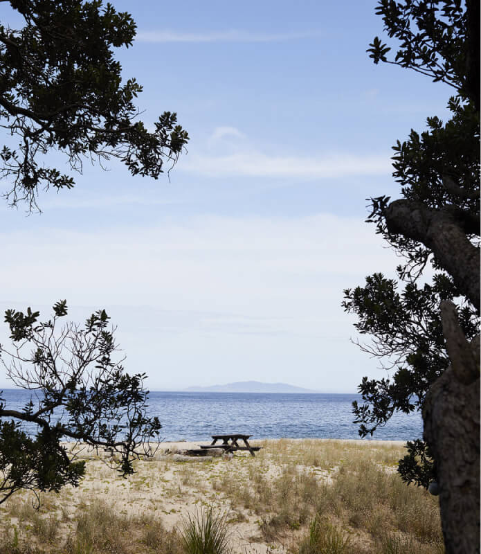 Beach picnic